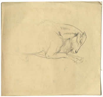 Visualizza l'immagine "FD D 134"